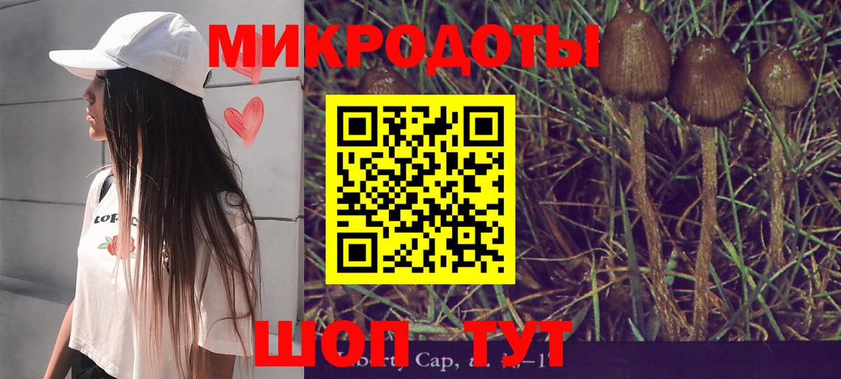 Псилоцибиновые грибы GOLDEN TEACHER Приморско-Ахтарск